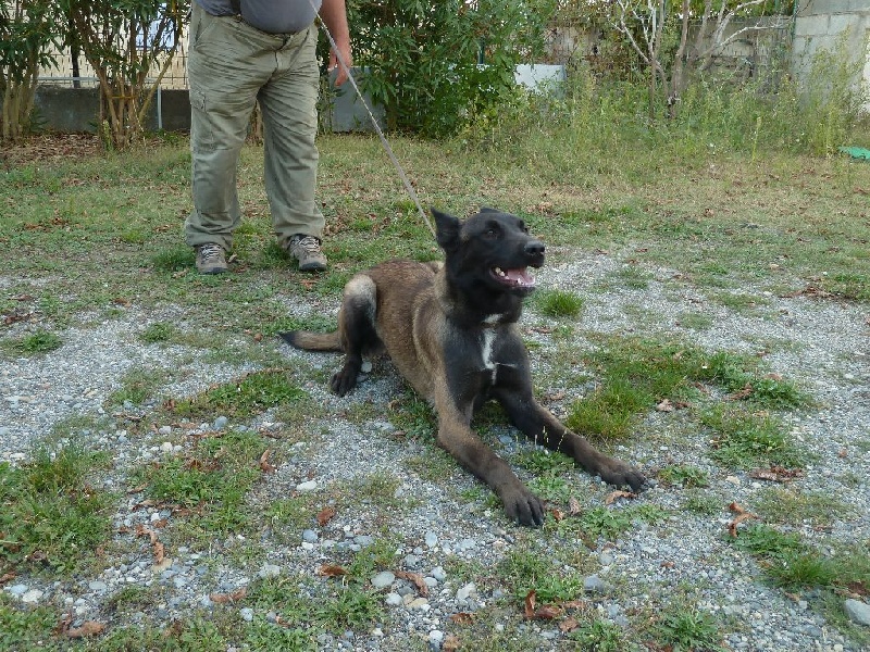 Hatchi de la Porte de L'Ubaye